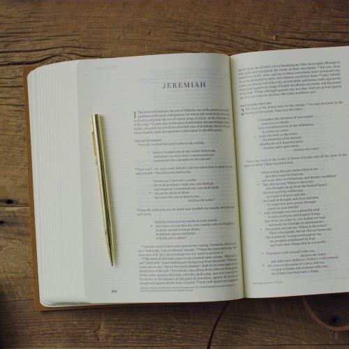 ESV Single Column Journaling Bible, Natural Leather, Brown, Flap with Strap