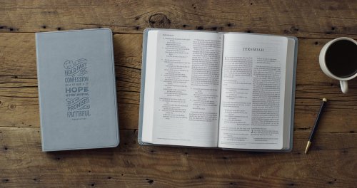 ESV Large Print Value Thinline Bible (TruTone, Paris Sky, Hebrews 10:23 Design)