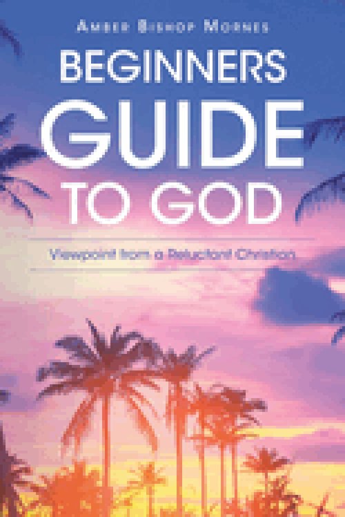 Beginners Guide to God: Viewpoint from a Reluctant Christian