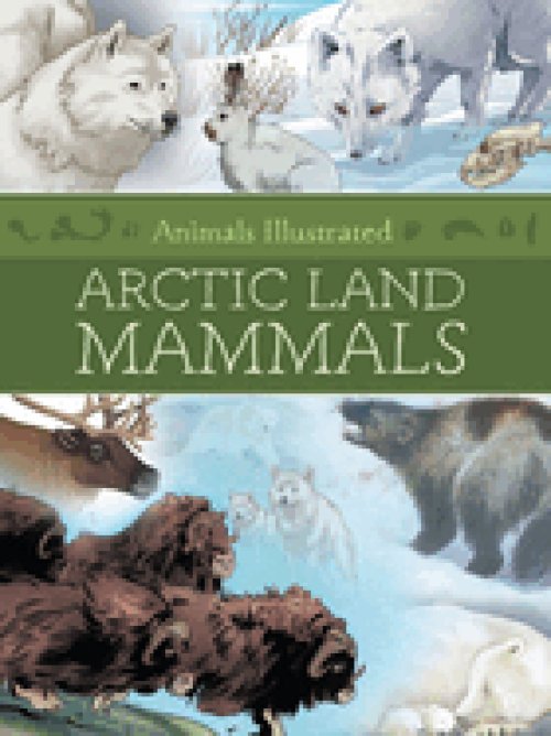 Animals Illustrated: Arctic Land Mammals