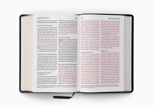 ESV Giant Print Personal Size Bible, Red Letter (Genuine Leather, Black)