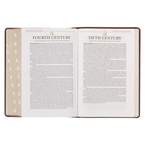 Art Nouveau Framed Toffee Brown Faux Leather Large Print King James Study Bible with Thumb Index