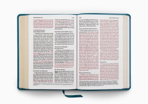 ESV Large Print Personal Size Bible, Red Letter (TruTone, Deep Teal, Ornament Design)