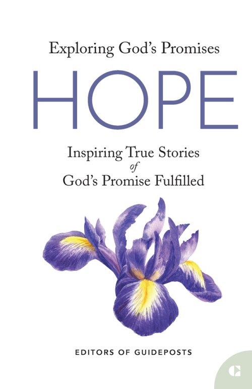 Hope: Inspiring True Stories of God's Promise Fulfilled