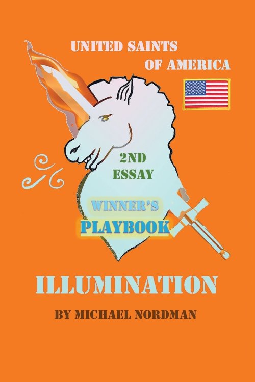 ILLUMINATION: ESSAY TWO (WINNER'S PLAYBOOK)