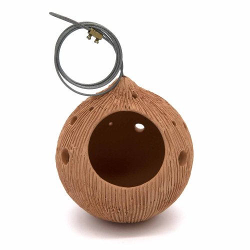 Globe Ceramic Air Plant Hanger