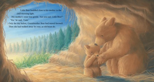 Are You Sad, Little Bear?