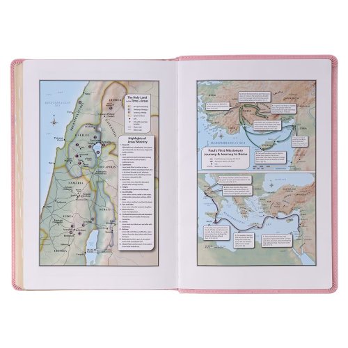 KJV Bible Giant Print Full-size Faux Leather, Pink