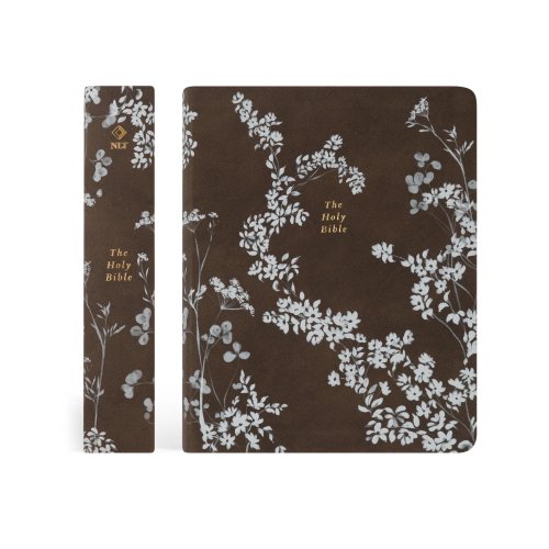 NLT Notetaking Bible: Lijiang Theme