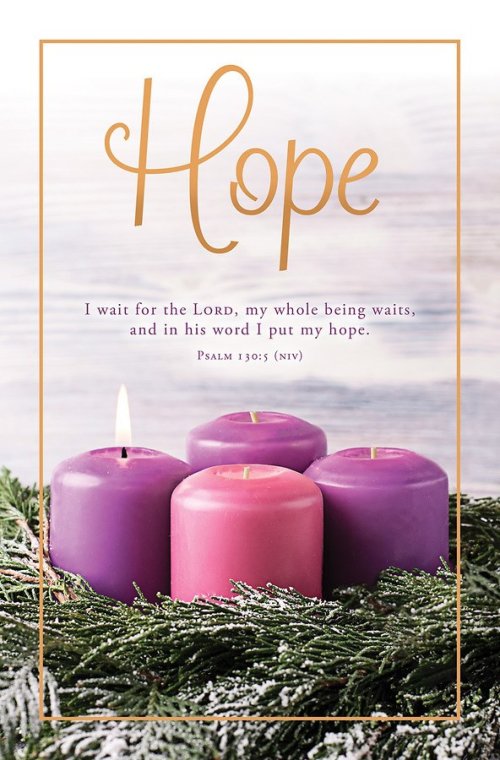 Bulletin-Advent Week 1: Hope (Psalm 130:5  NIV) (Pack Of 100)