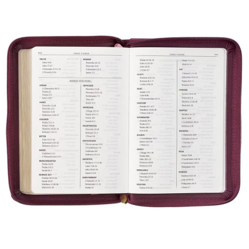 KJV Bible Compact Faux Leather, Merlot w/zipper