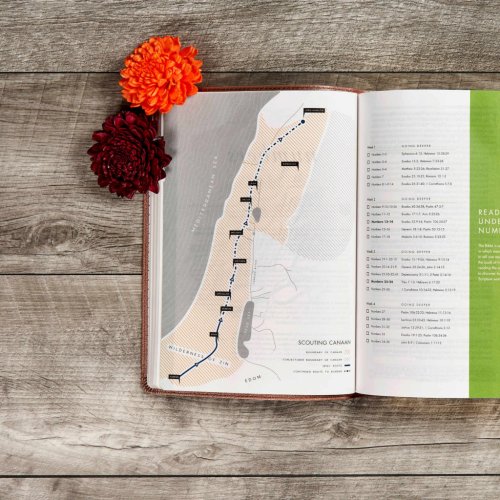 CSB She Reads Truth Bible, , Rose Gold, Imitation Leather, Thumb Indexed, Devotionals, Wide Margins, Journalling, Illustrated, Maps, Book Introductions, Topical Index, Ribbon Markers
