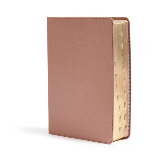 CSB She Reads Truth Bible, , Rose Gold, Imitation Leather, Thumb Indexed, Devotionals, Wide Margins, Journalling, Illustrated, Maps, Book Introductions, Topical Index, Ribbon Markers