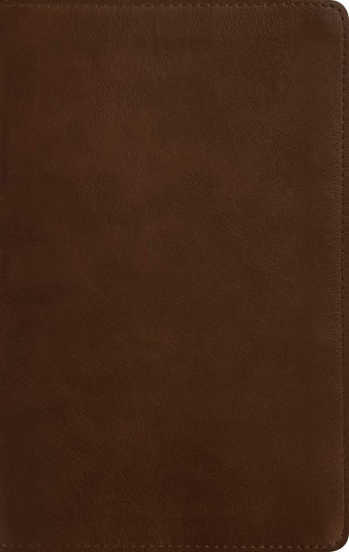 NLT Thinline Reference Bible, Filament Enabled (LeatherLike, Rustic Brown, Indexed, Red Letter)