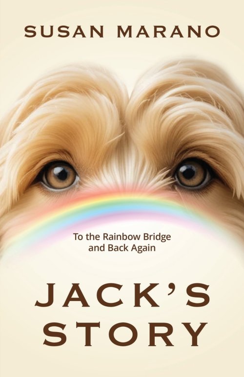 Jack's Story: To the Rainbow Bridge and Back Again