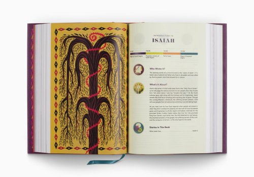 ESV The Biggest Story Holy Bible for Kids (Hardcover)