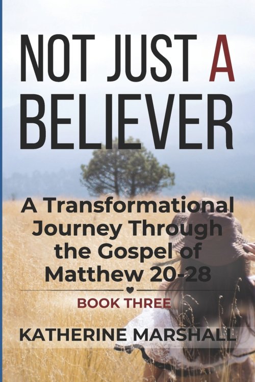 Not Just A Believer: A Transformational Journey Through the Gospel of Matthew Book Three