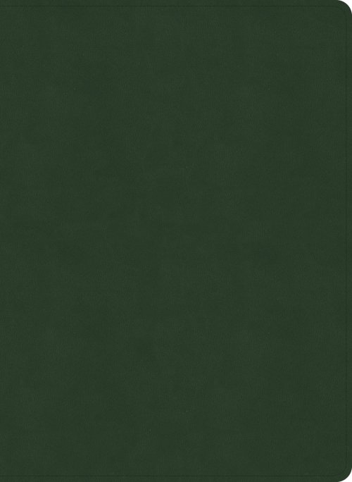 NASB Study Bible, Olive Leathertouch, Indexed