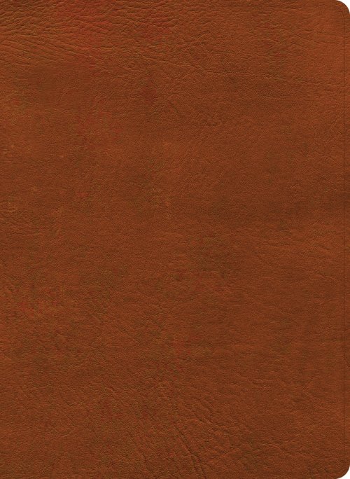 NASB Study Bible, Burnt Sienna Leathertouch, Indexed