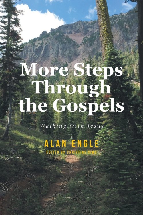 More Steps Through the Gospels: Walking with Jesus