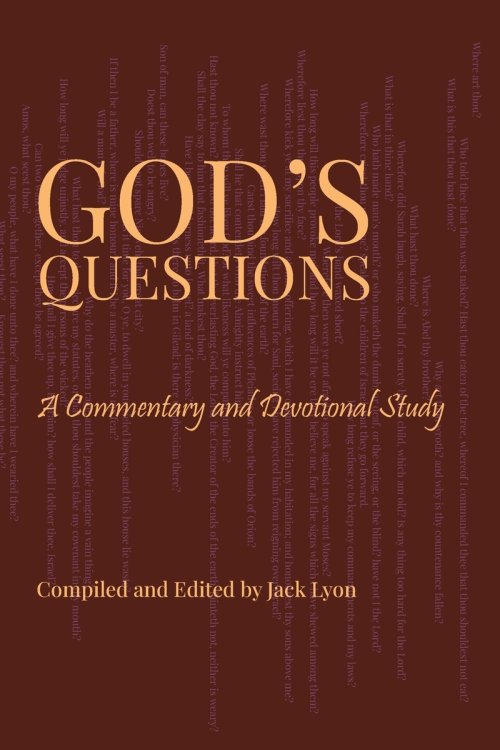 God's Questions: A Commentary and Devotional Study: A Commentary and Devotional Study