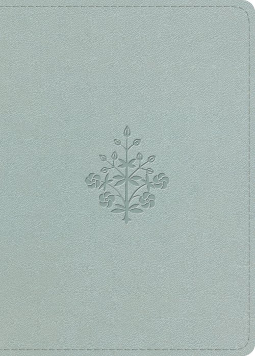 ESV Large Print Value Personal Size Bible (TruTone, River Stone, Branch Design)