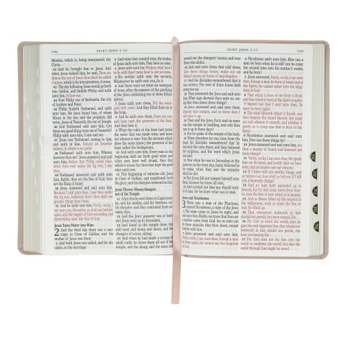 KJV Bible Giant Print Full-size Faux Leather, Blush Pink