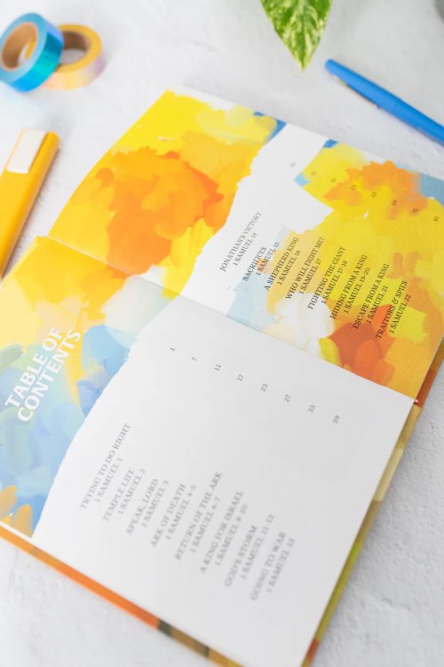 Shadows of the King: The Story of 1st & 2nd Samuel