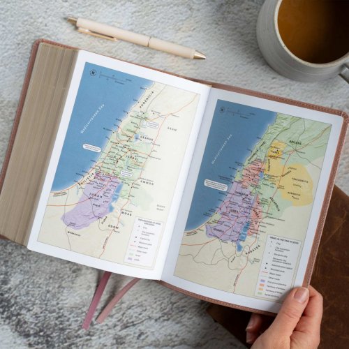 CSB Study Bible, Personal Size Edition, Rose Gold