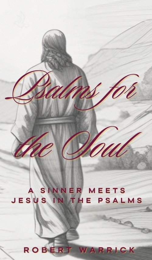Psalms for the Soul: A Sinner meets Jesus in the Psalms