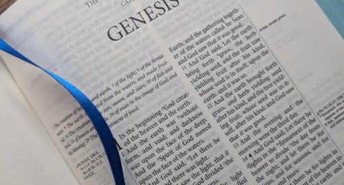 KJV Westminster Reference Bible, Black Goatskin Leather, KJ556:XE
