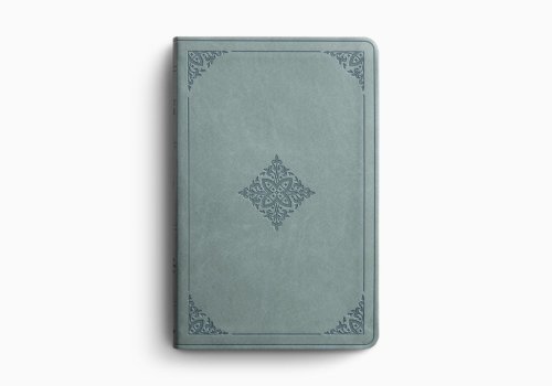 ESV Value Thinline Bible (TruTone, Paris Sky, Fleur-de-lis Design)