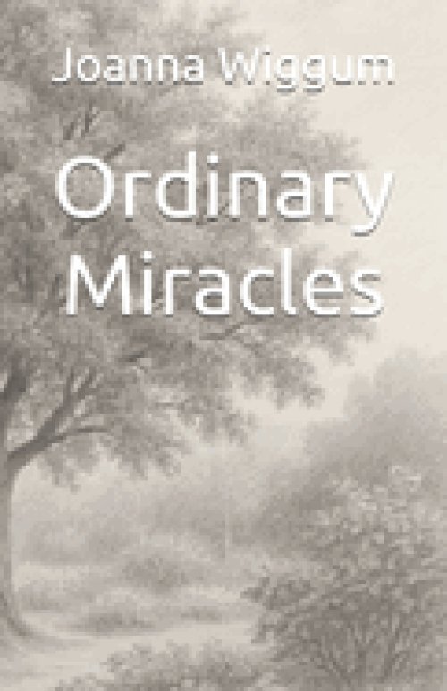 Ordinary Miracles