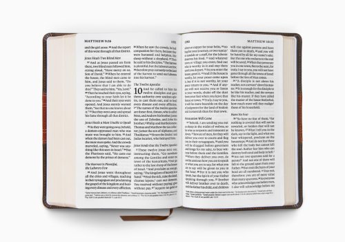 ESV Giant Print Personal Size Bible (TruTone, Forest/Tan, Trail Design)