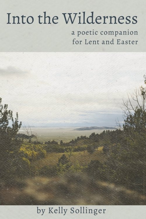 Into the Wilderness: a poetic companion for Lent and Easter