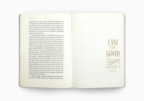 John - ESV Illuminated Scripture Journal