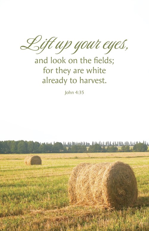 General Worship Bulletin: LIft Up (Package of 100)