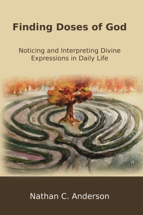 Finding Doses of God: Noticing and Interpreting Divine Expressions in Daily Life