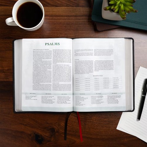 CSB Men of Character Bible, Revised and Updated, Black Genuine Leather