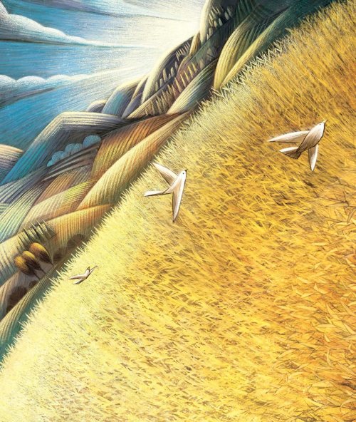 God's Colourful Kingdom Storybook Bible