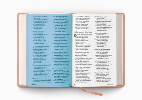 ESV Holy Bible, Dyslexia-Friendly Edition