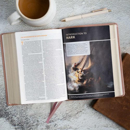 CSB Study Bible, Personal Size Edition, Rose Gold