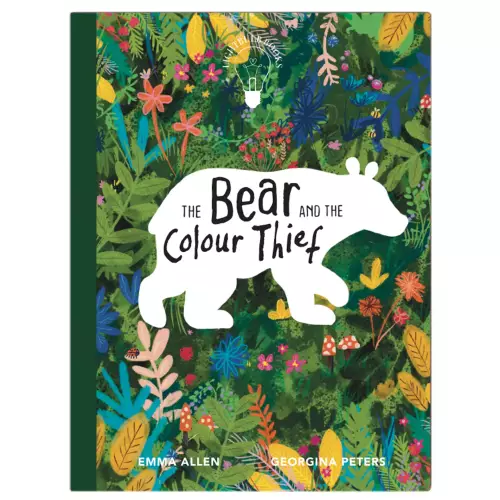The Bear & the Colour Thief Children's Book