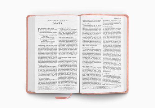 ESV Premium Church Bible, Large Print (TruTone, Blush Rose)