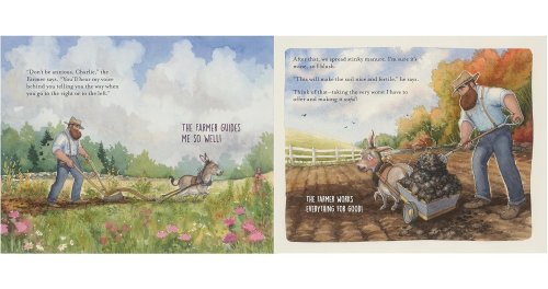 The Good Farmer and the Worried Donkey: A Story About Finding Peace in God's Strength