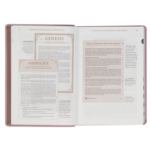 NLT, The Spiritual Growth Bible Faux Leather, Dusty Mauve