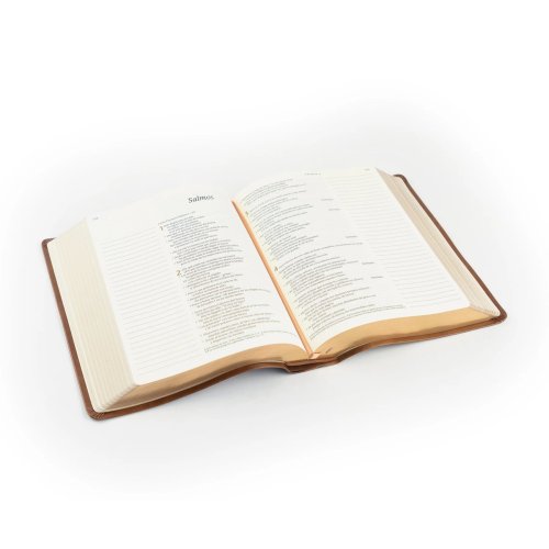 NTV Spanish Notetaking Bible: Aurora Theme