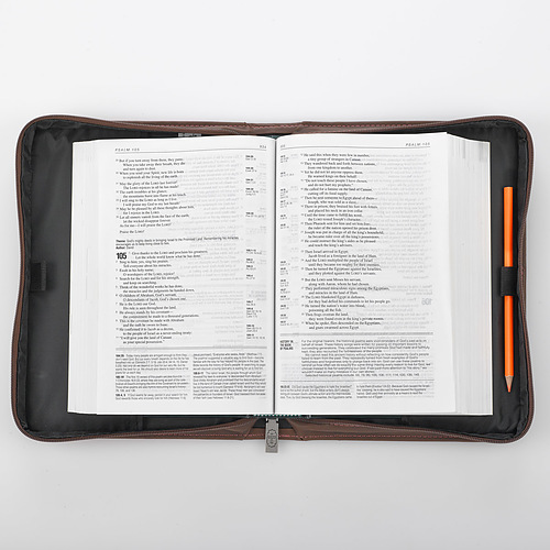 Large  The Plans Pink Faux Leather Bible Cover, Zippered Case w/Handle - Jeremiah 29:11