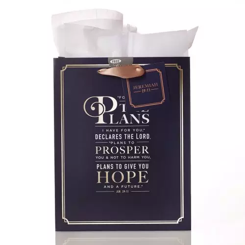 For I Know the Plans - Jeremiah 29:11 - Medium Gift Bag