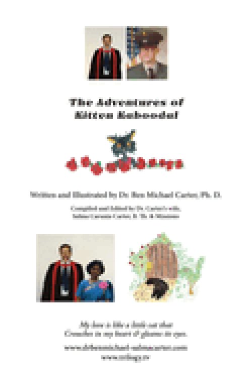 The Adventures of Kitten Kaboodal